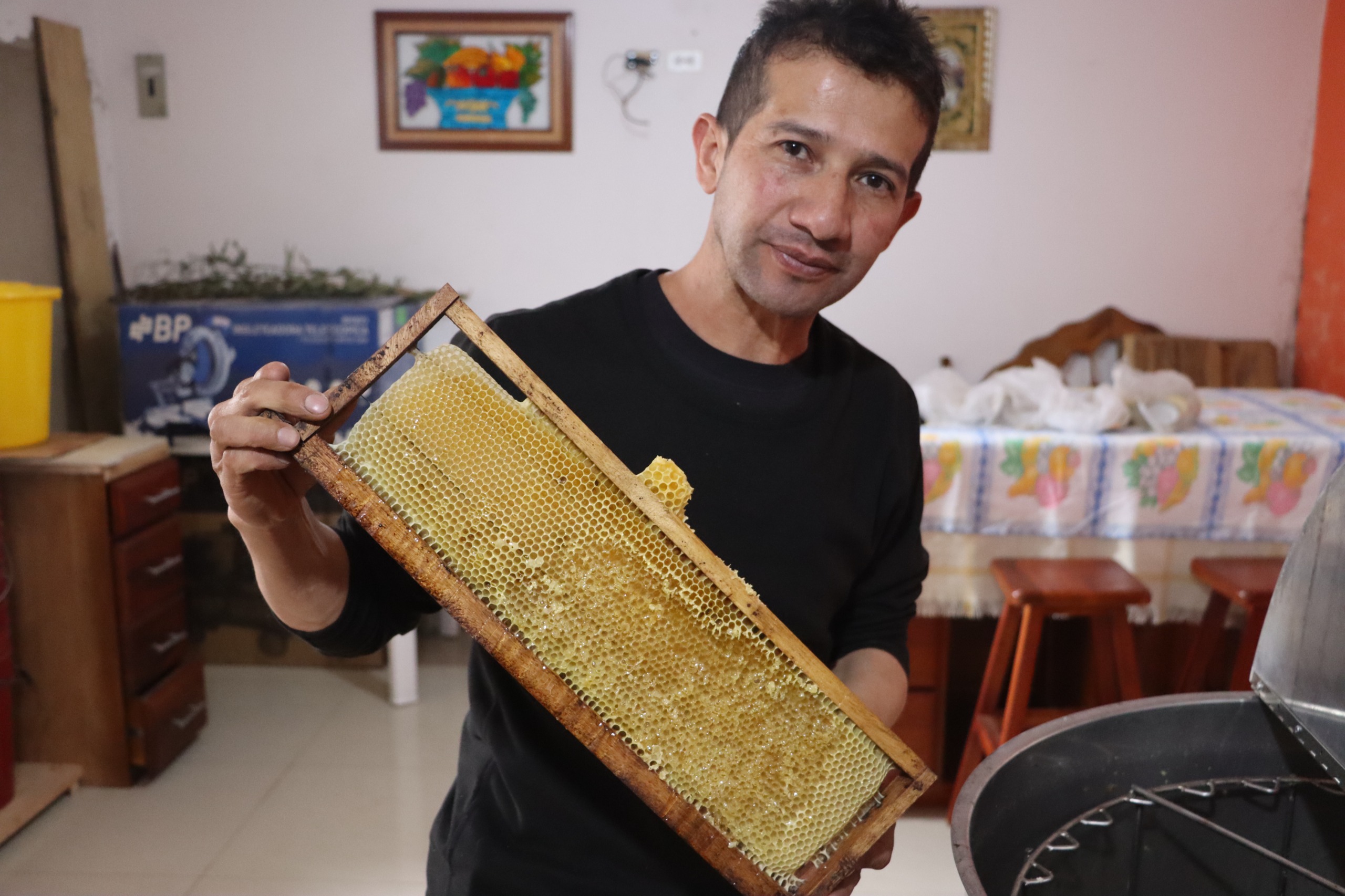 EL DULCE ARTE DE SALVAR ABEJAS